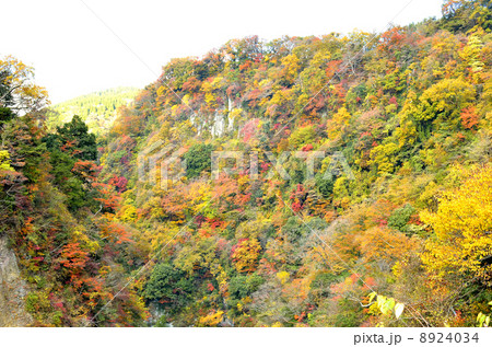 九酔渓 紅葉 九重町 くじゅう 秋 大分県の写真素材