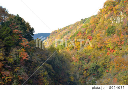 九酔渓の紅葉の写真素材