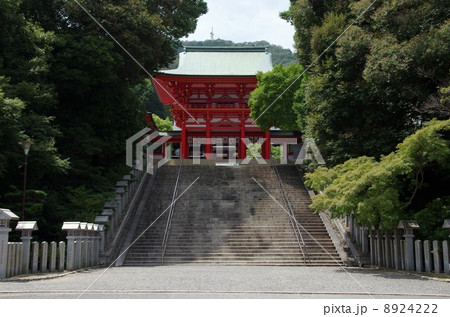 近江神宮　桜門 8924222