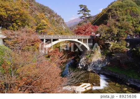 長瀞橋 長瀞橋 8925636