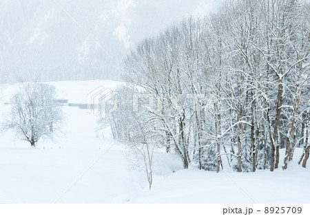 Winter mountain misty landscape 8925709