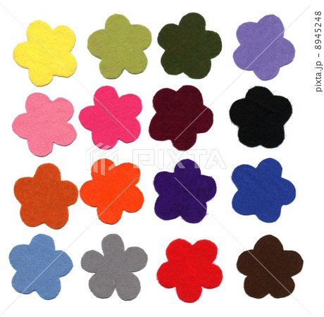 Flower color felt samples 8945248