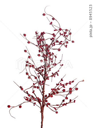 Christmas arrangement Christmas arrangement 8945523