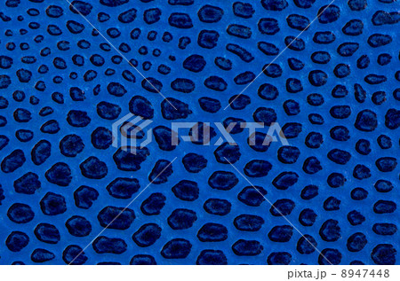 Blue leather book cover detail 8947448