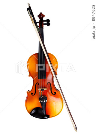 Violin 8947628