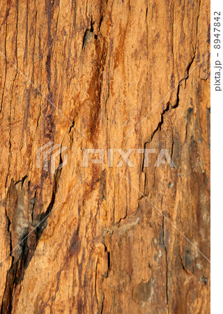 Shale rock Shale rock 8947842