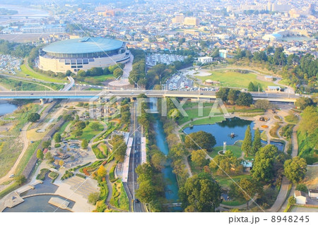 前橋公園 8948245