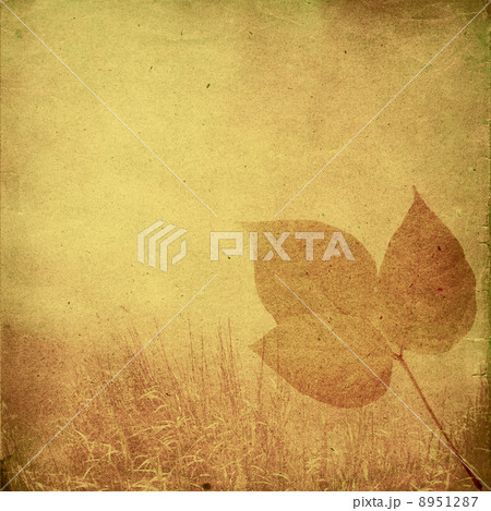 autumn background 8951287