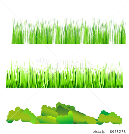 natural grass natural grass 8953278