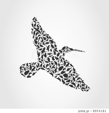 Birdie4 8954181