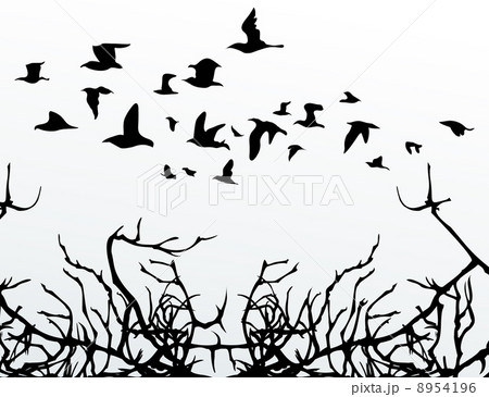 Birds over wood Birds over wood 8954196