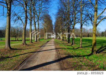 way in the park 8958829