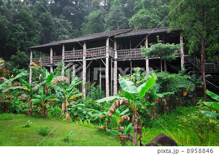 longhouse in borneo 8958846