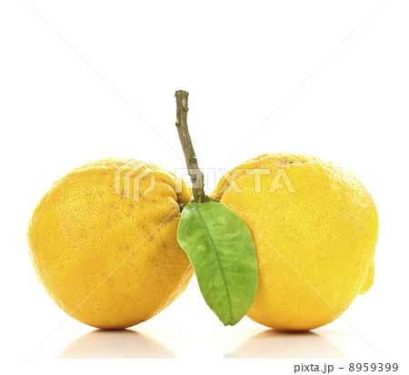 grapefruit 8959399