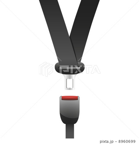 Seat Belt 8960699