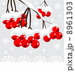 Winter background with red berries and snow 8961303