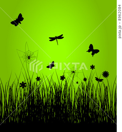 Spring5 Spring5 8962084