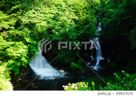 龍頭の滝 8962429