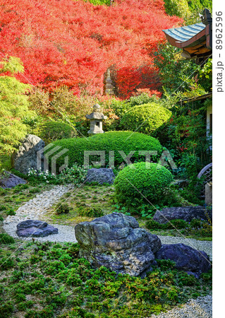 永昌寺 ドウダンツツジ 永昌寺 ドウダンツツジ 8962596