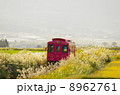 ススキの回廊を行くピンクの列車 8962761