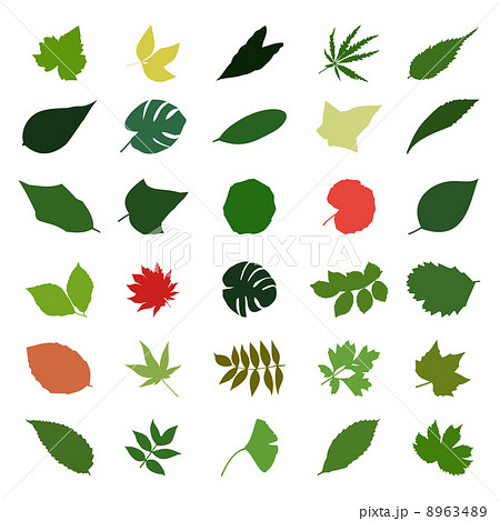 leaf2 8963489