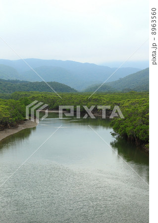 西表島・後良川河口 西表島・後良川河口 8963560