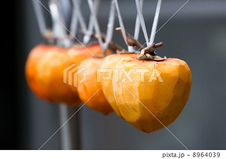 干し柿作り 干し柿作り 8964039