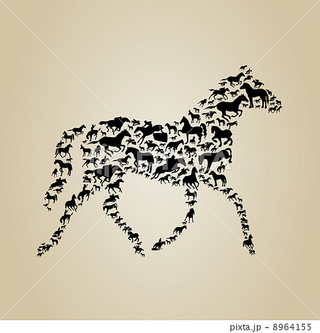 Horse 8964155