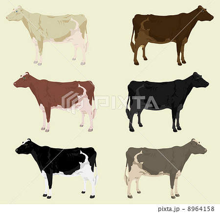 Cow3 Cow3 8964158