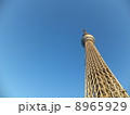 青空とスカイツリー 8965929