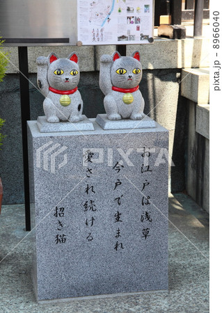 今戸神社の招き猫 今戸神社の招き猫 8966040
