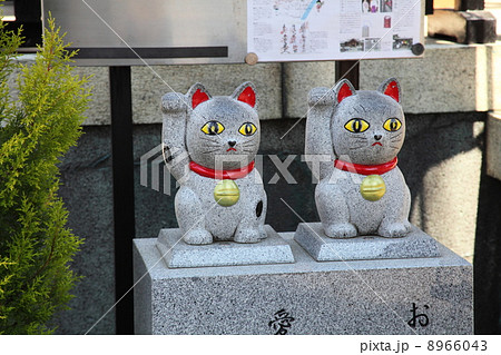 今戸神社の招き猫 今戸神社の招き猫 8966043