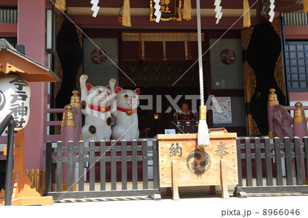 今戸神社 8966046