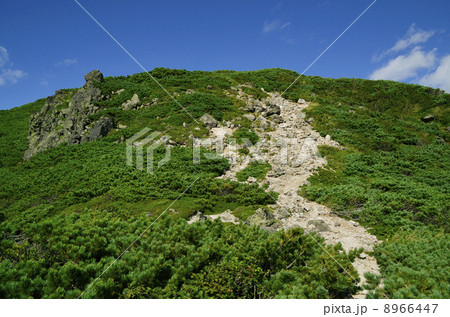 北海道　釧路市　阿寒　雄阿寒岳　登山道 8966447