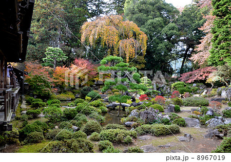 夢窓国師が造った恵林寺庭園の秋 夢窓国師が造った恵林寺庭園の秋 8967019