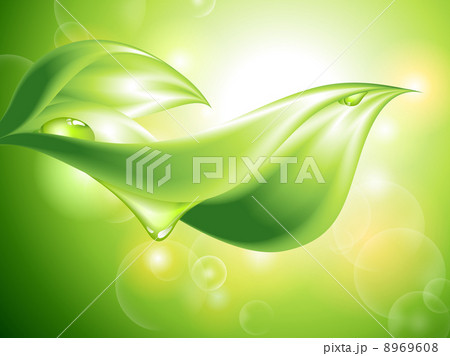 Abstract green background with leaves Abstract green background with leaves 8969608