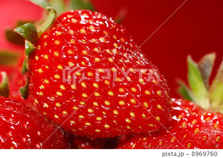 strawberry 8969760