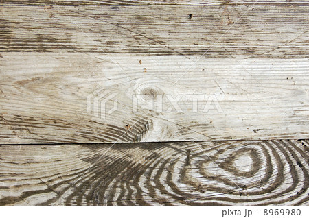 Wood texture 8969980