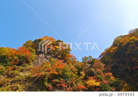 紅葉の山 紅葉の山 8970503