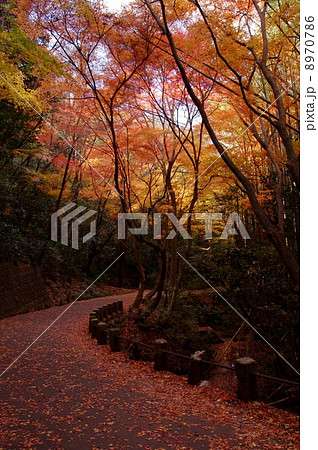 寂光院 寂光院 8970786