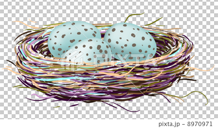 Bird's nest with robin eggs Bird's nest with robin eggs 8970971