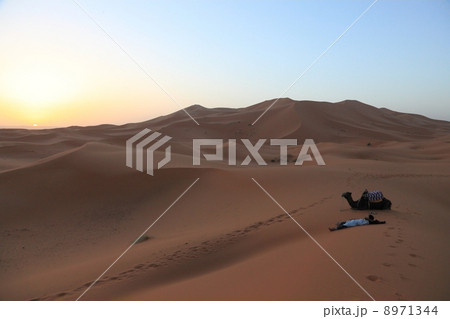 砂漠とラクダ使い 砂漠とラクダ使い 8971344