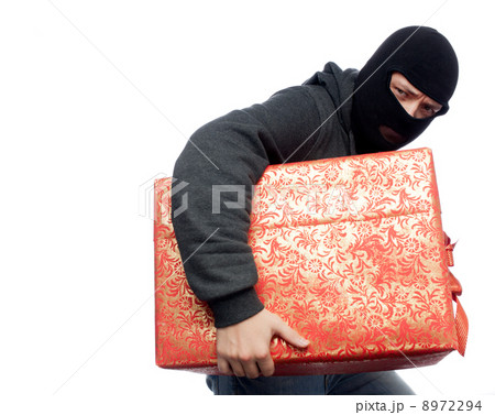 bandit holding a wrapped Christmas gift bandit holding a wrapped Christmas gift 8972294