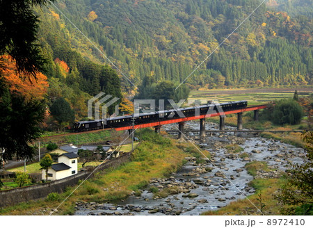 秋の玖珠川を渡るななつ星in九州! 秋の玖珠川を渡るななつ星in九州! 8972410