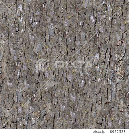 Pine Bark. Seamless Tileable Texture. 8972523