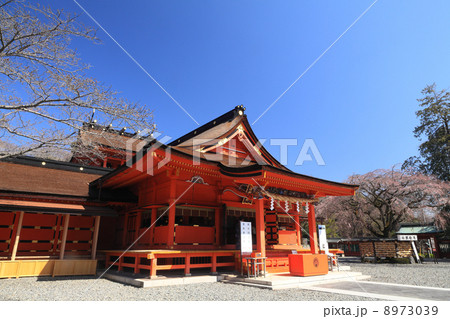 世界遺産 「富士山本宮浅間大社」 8973039