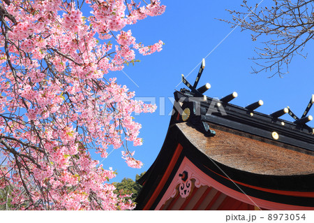 世界遺産 「富士山本宮浅間大社」 世界遺産 「富士山本宮浅間大社」 8973054