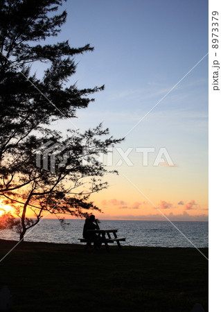 南国サンセット 南国サンセット 8973379