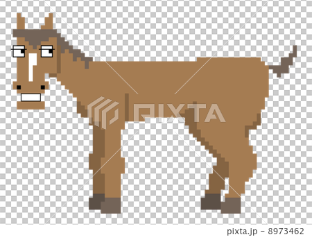 Horse Horse 8973462