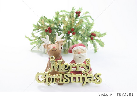 メリークリスマス 8973981